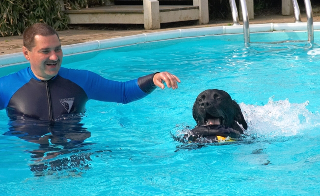 You gotta throw it further than this.........
Λέξεις-κλειδιά: Zbigniew Levi Black Labrador swimming pool
