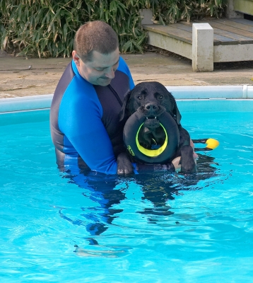 Phew, a strong pair of arms
الكلمات الإستدلالية(لتسهيل البحث): Zbigniew Levi swimming pool Black Labrador
