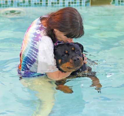 Missy and Marjorie
Missy having a relaxing swim in the heated pool, with a helpful hand (and kiss) from Marjorie.
Anahtar kelimeler: Missy swimming dog canine hydrotherapy Marjorie Rottweiler Ritz Canine