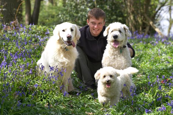 Christopher posing with Jayjay, Lucy & Arnie
Ključne besede: Lucy Old English Sheepdog Jayjay Golden Retriever Arnie Bichon Frise Christopher woodland