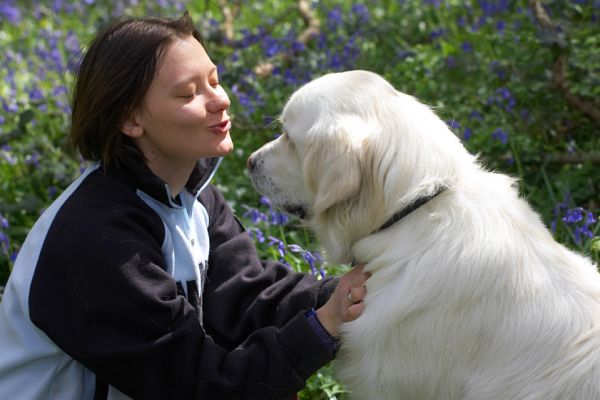 Elizabeth and Jayjay sharing a private moment
Palabras clave: Jayjay Golden Retriever Elizabeth woodland bluebells