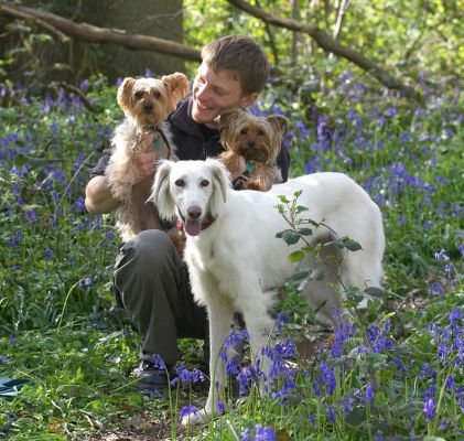 Bonnie & Maxie meet Tia
Keywords: Bonnie Maxie Yorkshire Terrier Tia Saluki Christopher woodland bluebells