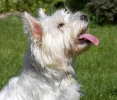 ZApril-30-2007-0065.jpg