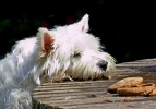 ZApril-30-2007-0108.jpg