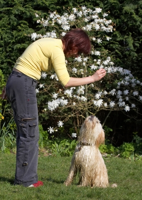 Who's gonna blink first?!
Λέξεις-κλειδιά: Rupert Tibetan Terrier Beata