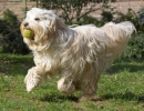 ZApril-06-07-0028.jpg