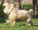 ZApril-06-07-0096.jpg