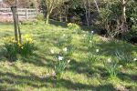 Apr-8-06-0001a.jpg