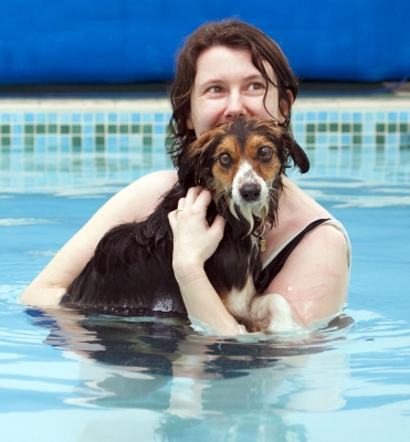 S'pose you think this is funny
Keywords: Animal Animals Canine Canines Collie Collies Dog Dogs Gina Land Mammal Land Mammals Molly Pool Swimming Terrestrial Mammal Terrestrial Mammals
