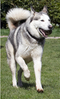Z2Q9W2568.jpg
