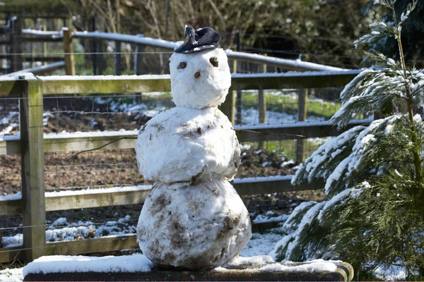 A little magic
Keywords: Snow snowman