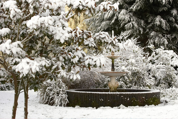 Better late than never
The only snowfall of winter - in the spring!!  April 2008
Keywords: April Farm Fountain Lucies Snow Spring Weather Whitecroft