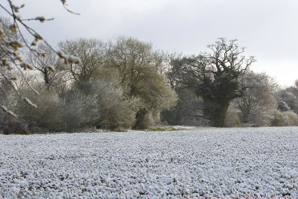 Snow, snow, everywhere .........
Mots-clés: April Farm Lucies Snow Spring Weather Whitecroft