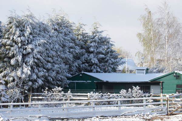 Ah, so Christmassy - pity it's April!!
Schlüsselwörter: April Farm Fir Lucies Snow Spring Stable Stables Trees Weather Whitecroft