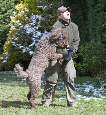 C'mon, play
Palabras Clave: Animal Animals becky Canine Canines Dog Dogs Elvis Land Mammal Land Mammals Play Playing Playtime Poodle Poodles Snow Standard Terrestrial Mammal Terrestrial Mammals