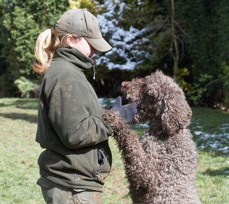 .......... let's play
Keywords: Animal Animals becky Canine Canines Dog Dogs Elvis Land Mammal Land Mammals Play Playing Playtime Poodle Poodles Snow Standard Terrestrial Mammal Terrestrial Mammals