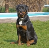 ZApril-01-07-0005.jpg