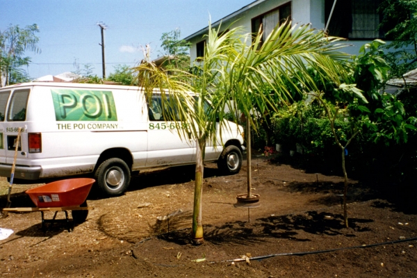 Poi Company Delivery Van in New "Parking Lot"
We purchased the empty lot next to the factory and converted it into our parking lot and "garden."
Ključne besede: Garden Kopke Street Palm Poi Company Truck