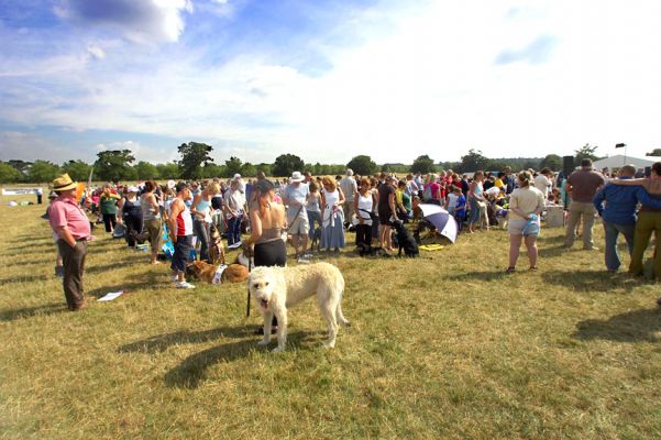 The big sit-in
They went for a huge 1,000 doggie sit in for The Guiness Book of Records  record at the 2006 Wag and Bone Show
الكلمات الإستدلالية(لتسهيل البحث): Dogs Wag and Bone Show