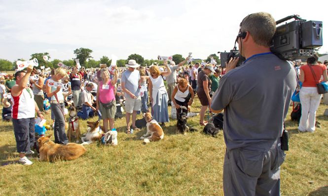 Filming the big sit-in
Keywords: Dogs Wag and Bone Show