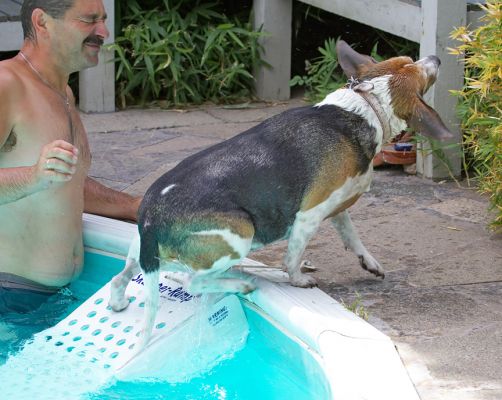 I've learned to get out of the pool all by myself
Palabras clave: Hattie Beagle Zbigniew
