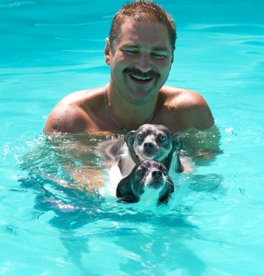 Treading water
Anahtar kelimeler: Matt Rose Longhaired Chihuahua Zbigniew