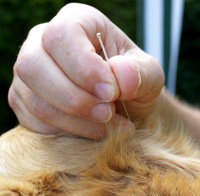 Does this hurt?
الكلمات الإستدلالية(لتسهيل البحث): acupuncture