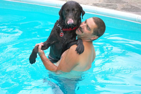 Do you think I can climb any higher?
Palabras clave: Penfold chocolate Labrador Zbigniew