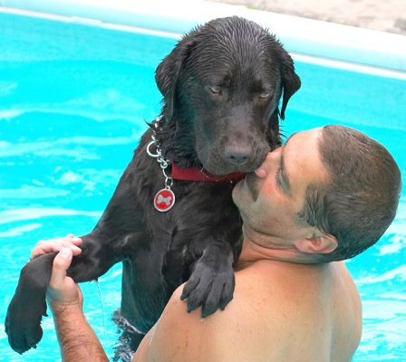 I know, I'm not really sure about this
Schlüsselwörter: Penfold chocolate Labrador Zbigniew