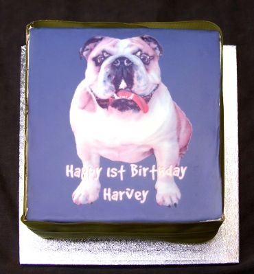 Harvey's 1st birthday cake
Keywords: Harvey Bulldog