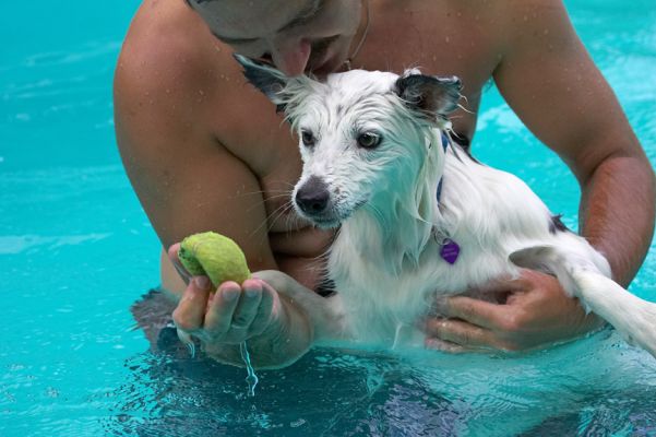 I'm not gonna take my eyes of the ball
Ključne besede: Bella Border Collie Zbigniew