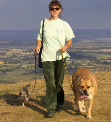It's good up here innit?
Ключові слова: Brutus Peepee Longhaired Chihuahua Bull Mastiff Marjorie