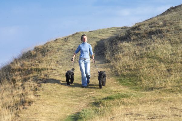 This is a really cool walk
Λέξεις-κλειδιά: Bali India Miniature Poodle Sylwia