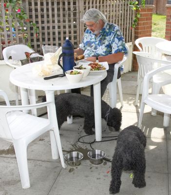 Hey, this is great - a pub lunch
Palabras clave: Bali India Craig Miniature Poodle pub
