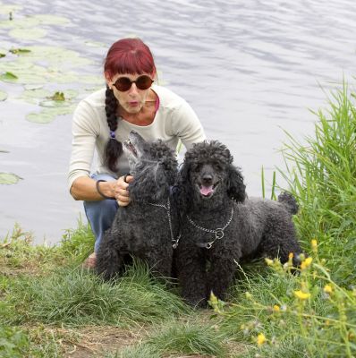 Just making sure you won't let us fall in the water
Palabras clave: Bali India Miniature Poodle Marjorie