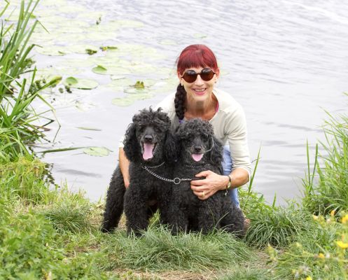 Hey, this is the life
Keywords: Bali India Miniature Poodle Marjorie