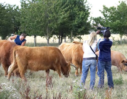 Filming of Lord Rannoch being massaged
Słowa kluczowe: Highland cattle bull cow Zbigniew Animal Planet Crackers Dave Becky film