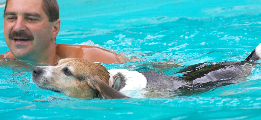 Look, I'm as sleek as a seal
Ključne besede: Hattie Beagle Zbigniew