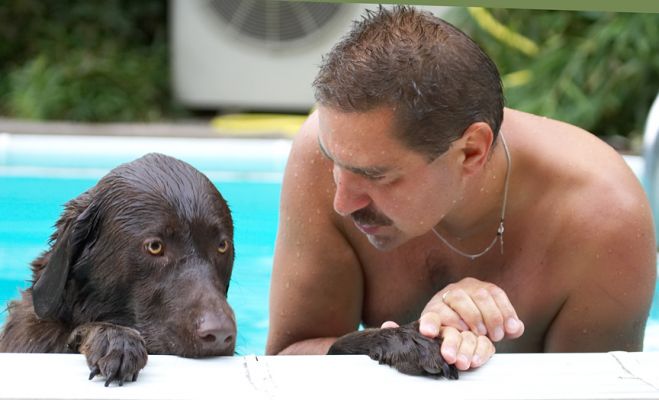 I don't remember checking the swimming box in the activity section
Ключови думи: Harvey chocolate Labrador Zbigniew