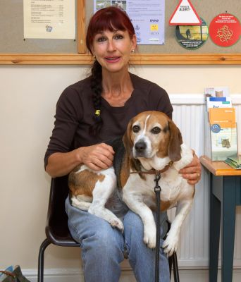 Patiently waiting my turn to see Dr Richard
Palabras clave: Hattie Beagle Marjorie White House Vets