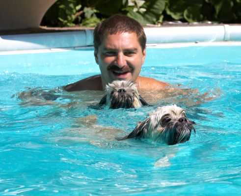 C'mon Monte, keep up
Palabras Clave: Trigger Monte Lhasa Apso Zbigniew
