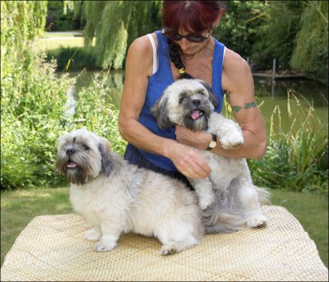 No, no, no she's not strangling me I'm having a massage
Palabras clave: Trigger Monte Lhasa Apso Marjorie