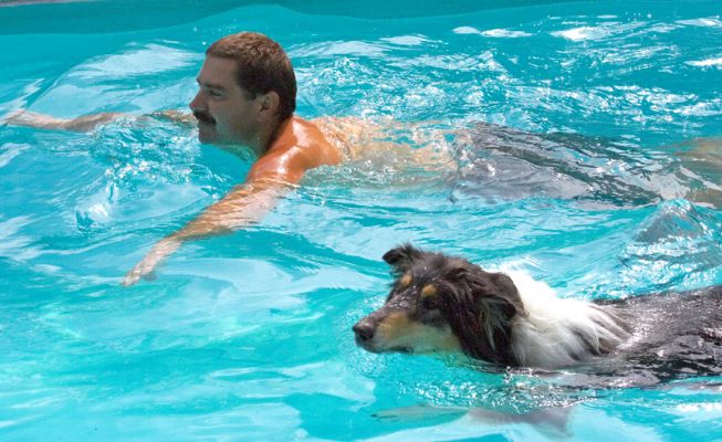 And, it's neck and neck
Keywords: Scooby Border Collie Zbigniew