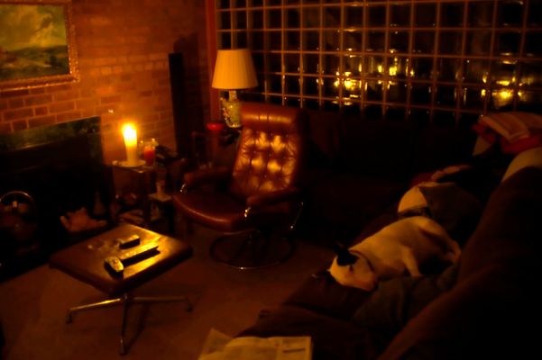 Lighting the old fashioned way
Keywords: Candles Kiko Bull Terrier
