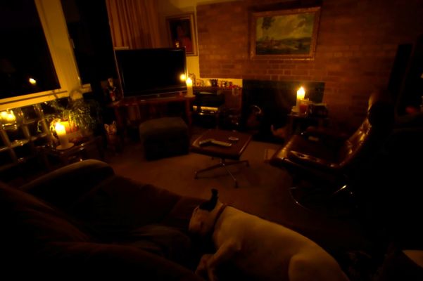 Kiko just sleeping through the whole drama
Λέξεις-κλειδιά: Candles Kiko Bull Terrier