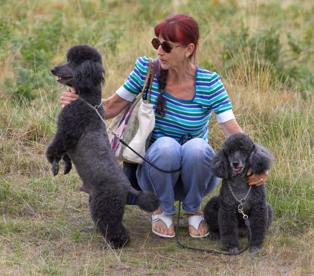 Hey, that looks kinda interesting over there
Palabras clave: Bali India Miniature Poodle Marjorie