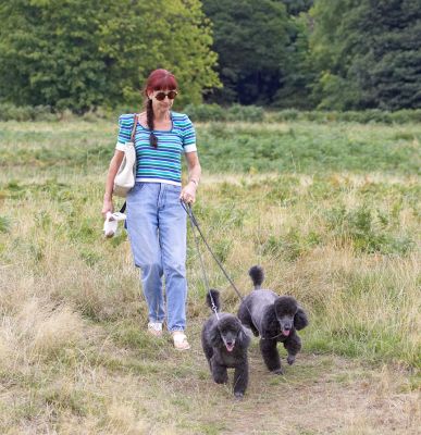 C'mon, let's go
Anahtar kelimeler: Bali India Miniature Poodle Marjorie