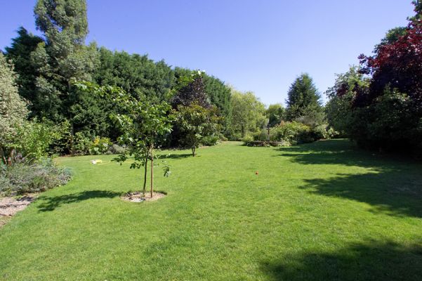The front garden on a lovely summer's day
Słowa kluczowe: Whitecroft garden
