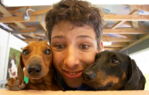 Peek-a-boo
Palabras clave: Louis Remy Miniature Daschund Ross