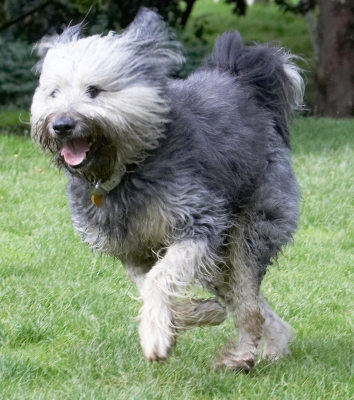 On a mission
Anahtar kelimeler: Wally Briard X